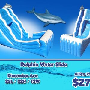Dolphin Water Slide