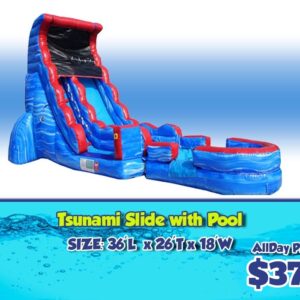 Tsunami Slide with Pool