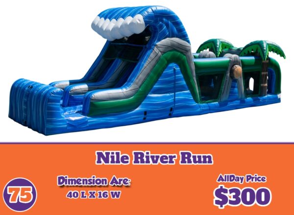 rent a tropical inflatable slide
