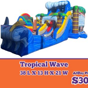tropical wave inflatable rental