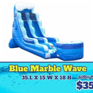 Blue Marble Wave Waterslide