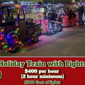 rent a holiday trains with lights