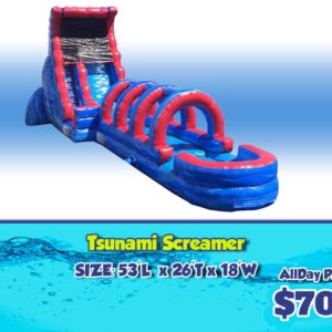 tsunami screamer slide rental